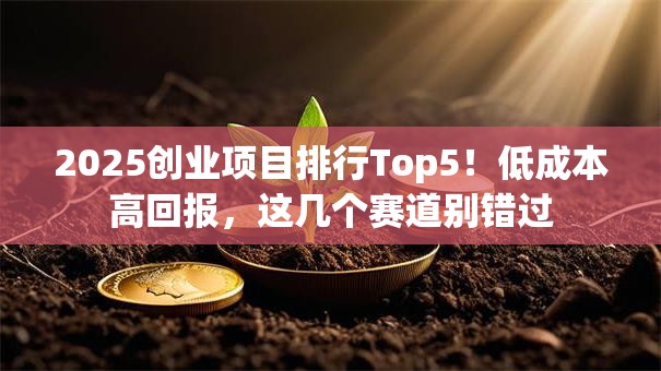 2025创业项目排行Top5！低成本高回报，这几个赛道别错过