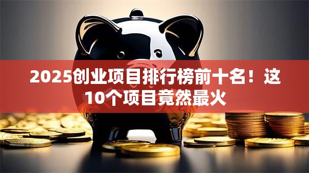 2025创业项目排行榜前十名！这10个项目竟然最火
