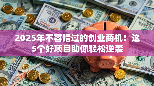 2025年不容错过的创业商机！这5个好项目助你轻松逆袭