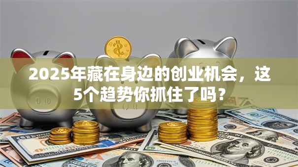 2025年藏在身边的创业机会，这5个趋势你抓住了吗？