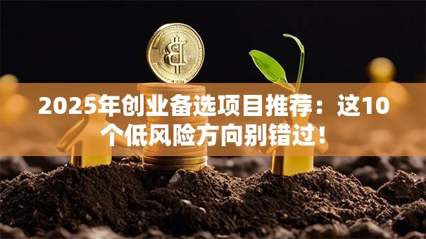 2025年创业备选项目推荐：这10个低风险方向别错过！