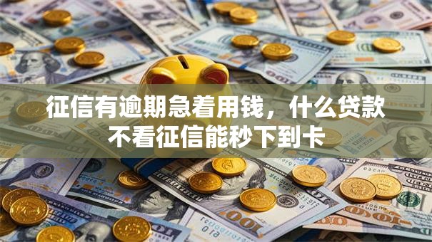 征信有逾期急着用钱，什么贷款不看征信能秒下到卡