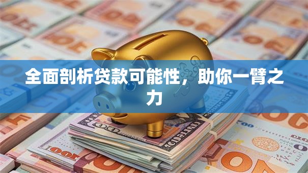全面剖析贷款可能性，助你一臂之力