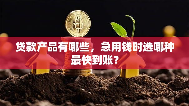 贷款产品有哪些，急用钱时选哪种最快到账？