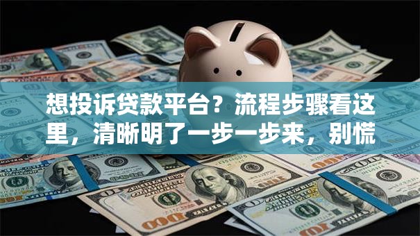 想投诉贷款平台？流程步骤看这里，清晰明了一步一步来，别慌！