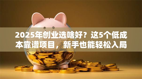 2025年创业选啥好？这5个低成本靠谱项目，新手也能轻松入局！