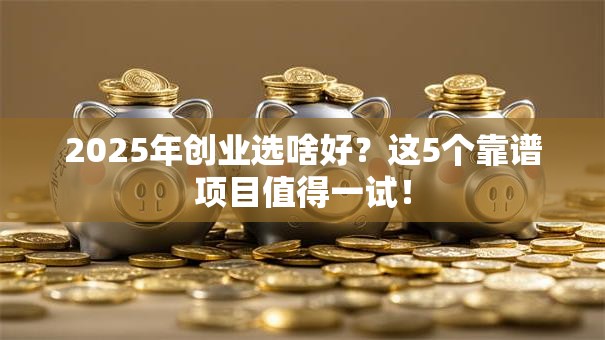 2025年创业选啥好？这5个靠谱项目值得一试！