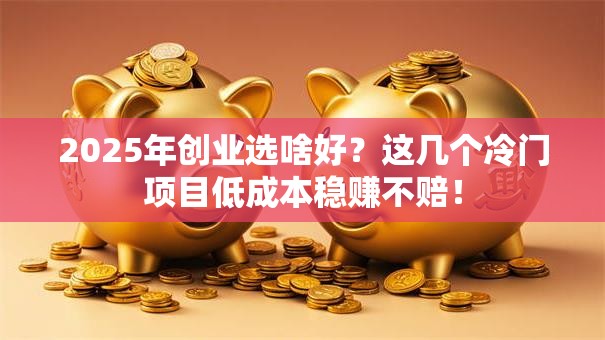 2025年创业选啥好？这几个冷门项目低成本稳赚不赔！