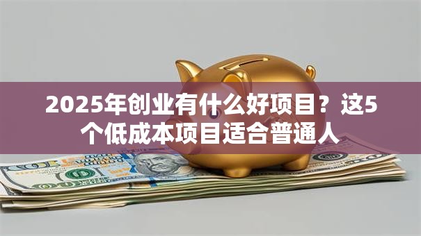 2025年创业有什么好项目？这5个低成本项目适合普通人
