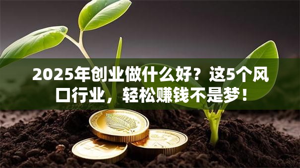 2025年创业做什么好？这5个风口行业，轻松赚钱不是梦！