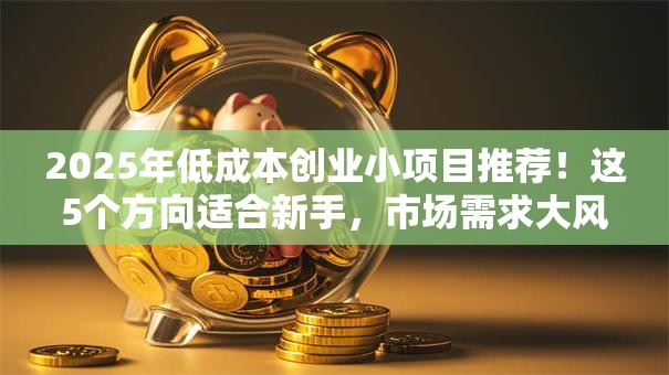 2025年低成本创业小项目推荐！这5个方向适合新手，市场需求大风险低