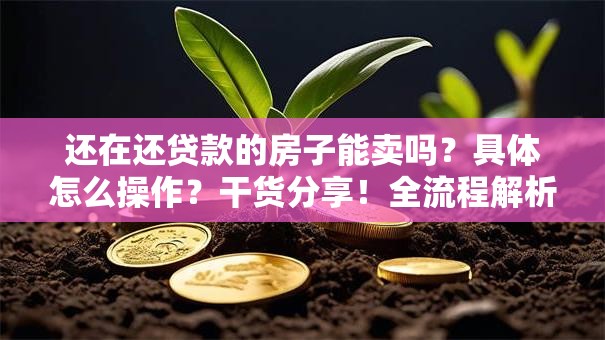 还在还贷款的房子能卖吗？具体怎么操作？干货分享！全流程解析+避坑要点，看完就懂