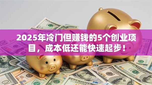 2025年冷门但赚钱的5个创业项目，成本低还能快速起步！