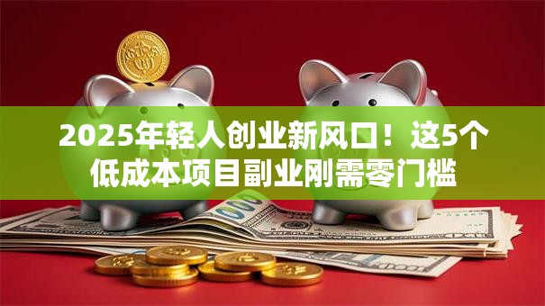 2025年轻人创业新风口！这5个低成本项目副业刚需零门槛