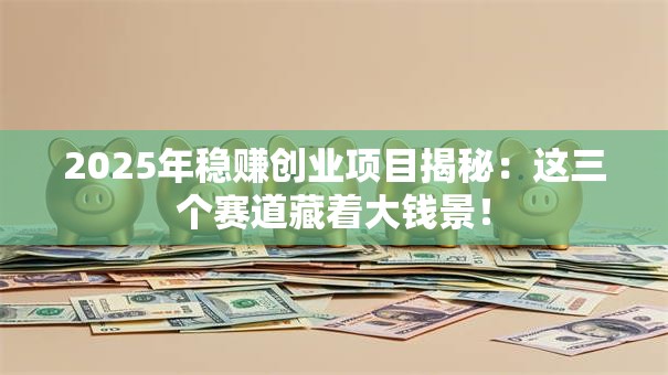 2025年稳赚创业项目揭秘：这三个赛道藏着大钱景！
