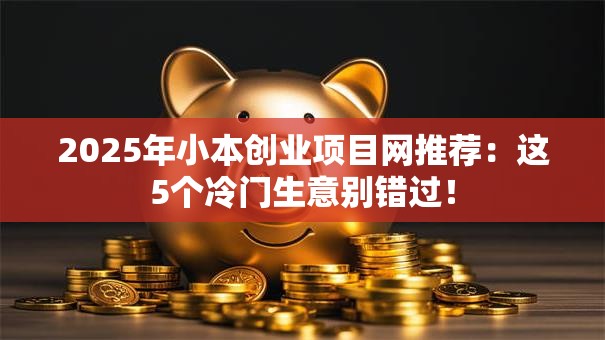 2025年小本创业项目网推荐：这5个冷门生意别错过！