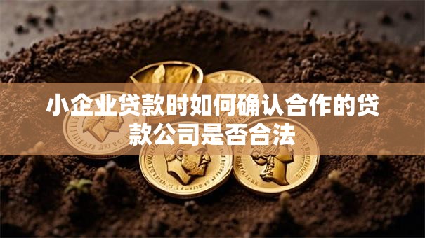 小企业贷款时如何确认合作的贷款公司是否合法