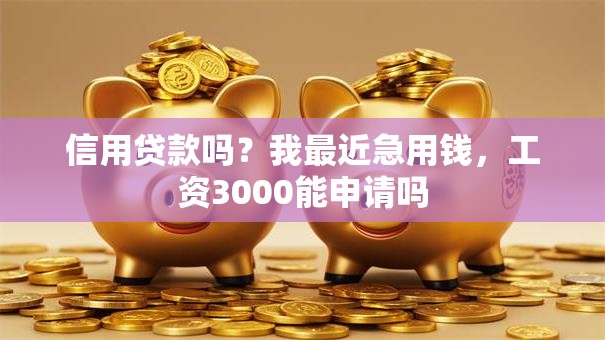 信用贷款吗？我最近急用钱，工资3000能申请吗