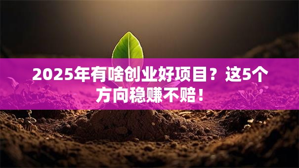 2025年有啥创业好项目？这5个方向稳赚不赔！
