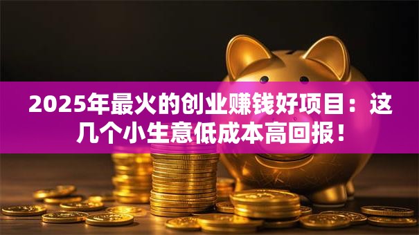 2025年最火的创业赚钱好项目：这几个小生意低成本高回报！