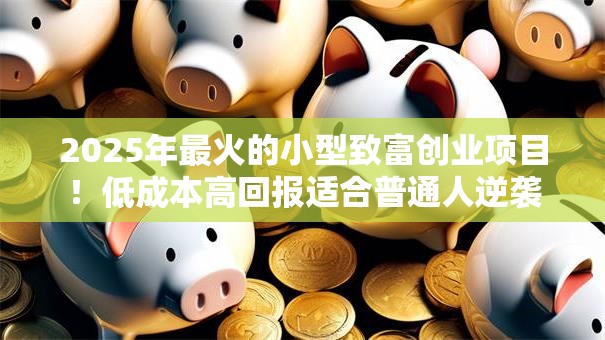 2025年最火的小型致富创业项目！低成本高回报适合普通人逆袭
