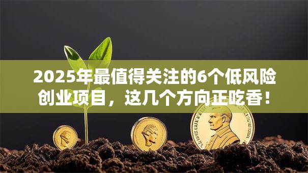 2025年最值得关注的6个低风险创业项目，这几个方向正吃香！