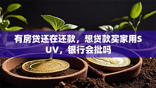 有房贷还在还款，想贷款买家用SUV，银行会批吗