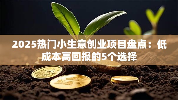 2025热门小生意创业项目盘点：低成本高回报的5个选择