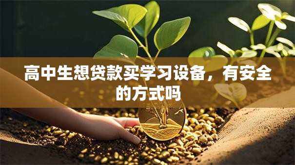高中生想贷款买学习设备，有安全的方式吗