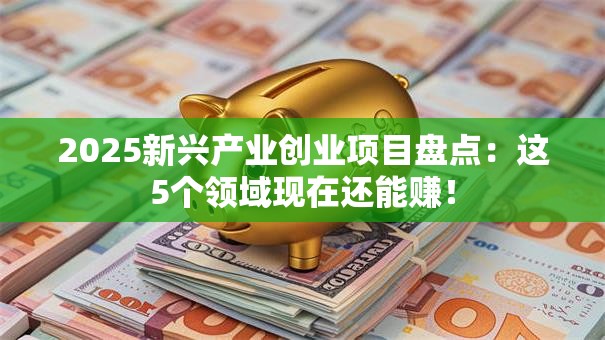 2025新兴产业创业项目盘点：这5个领域现在还能赚！