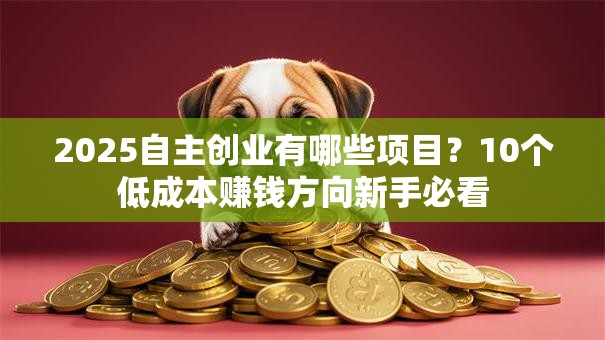 2025自主创业有哪些项目？10个低成本赚钱方向新手必看