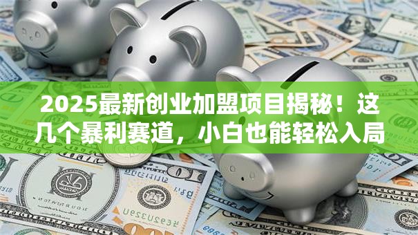 2025最新创业加盟项目揭秘！这几个暴利赛道，小白也能轻松入局