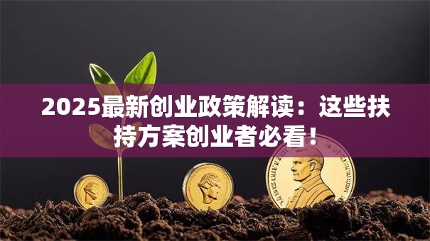 2025最新创业政策解读：这些扶持方案创业者必看！