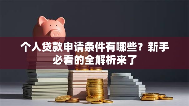 个人贷款申请条件有哪些？新手必看的全解析来了