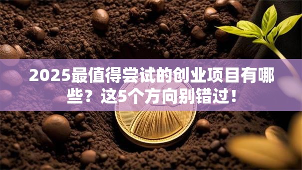 2025最值得尝试的创业项目有哪些？这5个方向别错过！