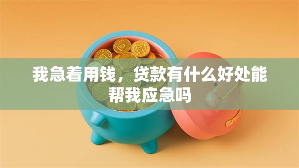 我急着用钱，贷款有什么好处能帮我应急吗