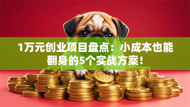 1万元创业项目盘点：小成本也能翻身的5个实战方案！