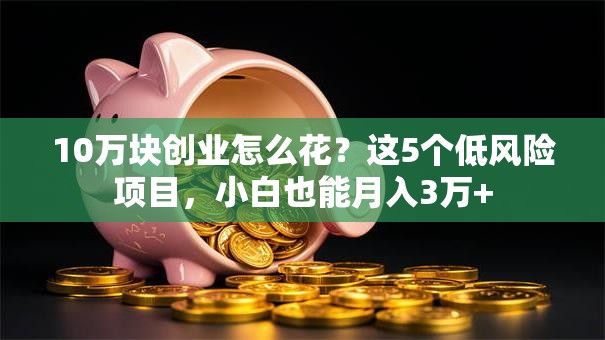 10万块创业怎么花？这5个低风险项目，小白也能月入3万+