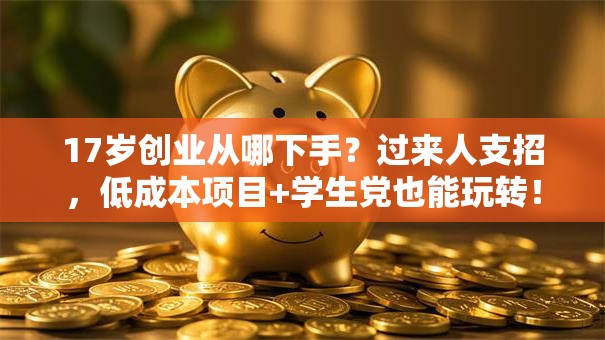 17岁创业从哪下手？过来人支招，低成本项目+学生党也能玩转！