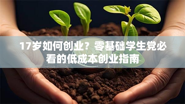 17岁如何创业？零基础学生党必看的低成本创业指南