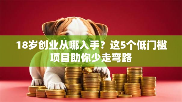 18岁创业从哪入手？这5个低门槛项目助你少走弯路