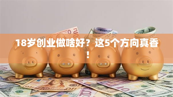 18岁创业做啥好？这5个方向真香！