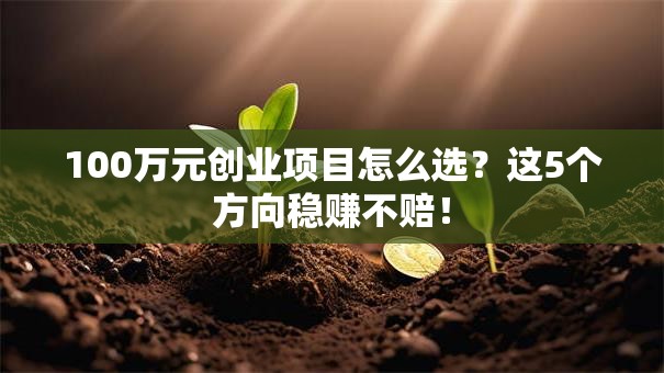 100万元创业项目怎么选？这5个方向稳赚不赔！