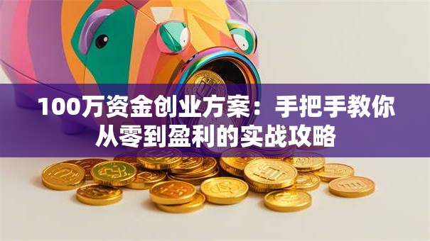 100万资金创业方案：手把手教你从零到盈利的实战攻略