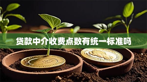 贷款中介收费点数有统一标准吗