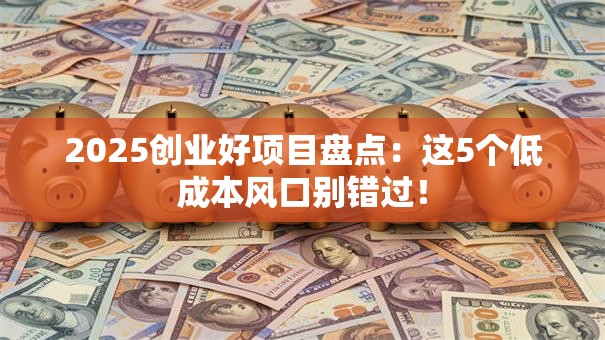 2025创业好项目盘点：这5个低成本风口别错过！