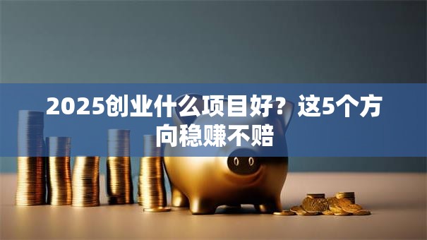 2025创业什么项目好？这5个方向稳赚不赔