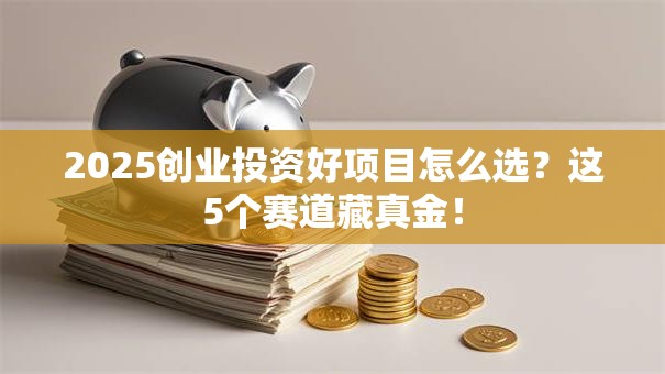 2025创业投资好项目怎么选？这5个赛道藏真金！