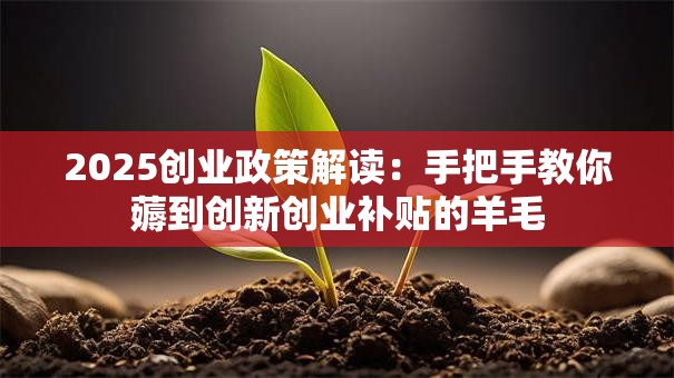 2025创业政策解读：手把手教你薅到创新创业补贴的羊毛