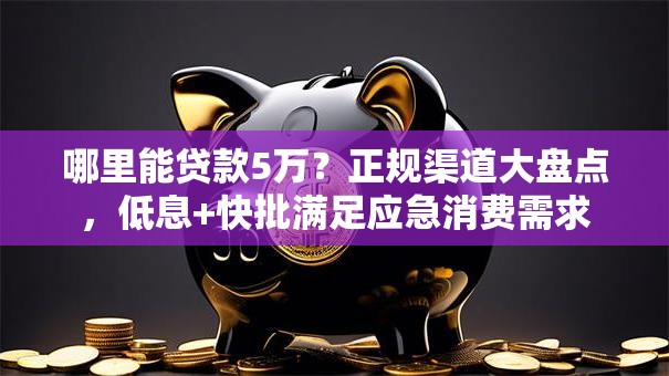 哪里能贷款5万？正规渠道大盘点，低息+快批满足应急消费需求